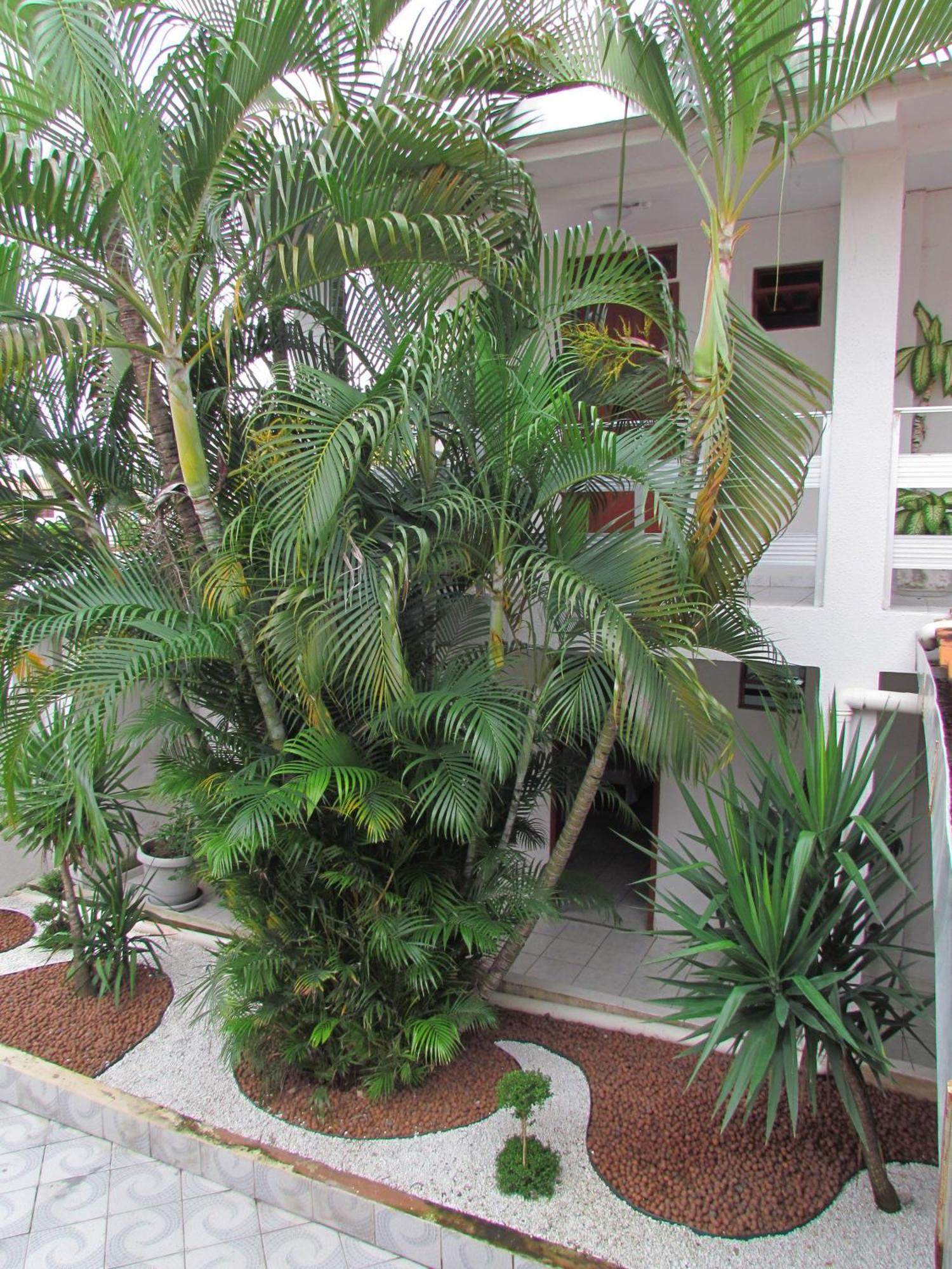 Pousada Nossa Casa Maceió エクステリア 写真
